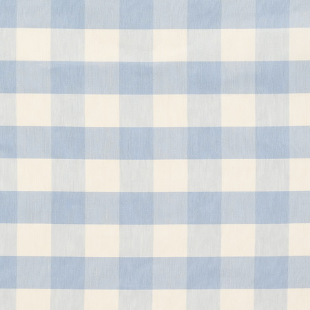 T1011 02 indore check   pale blue