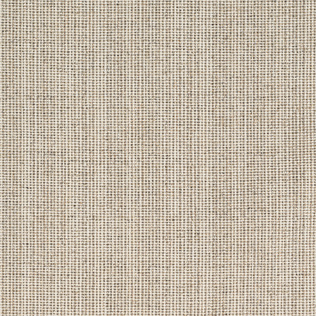 T1055 03 strada   silver birch