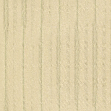 T1005 05 casey stripe   green