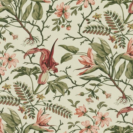 Jp 1601 paradiso pink green