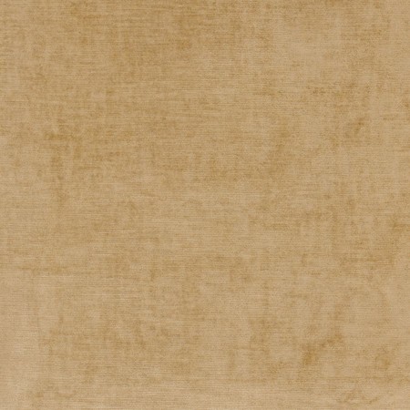 Jw 6721 lily velvet camel