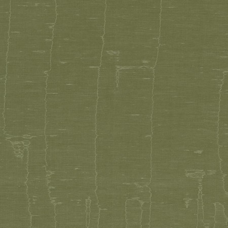 T1057 06 olas moss