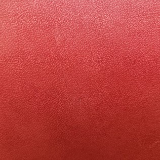 Jasper Leather in Lucen - Ruby