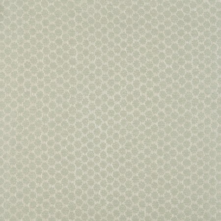 Jw 7842 navona mint