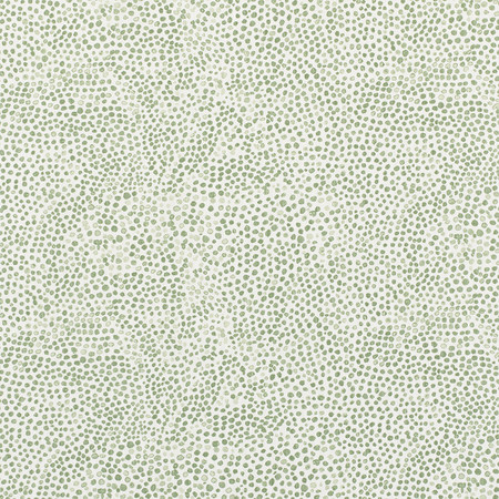 T3004 02 dottie   evergreen 021