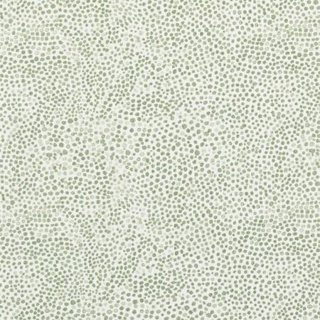 To4004 02  dottie   evergreen %28outdoor%29