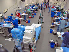 Operation Catnip mass spay/neuter clinic