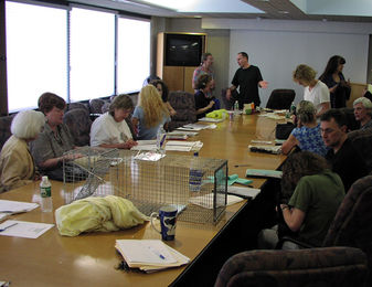 Neighborhood Cats TNR Workshop, New York City, TNR training
