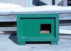 Neighborhood Cats winter shelter
