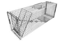 Neighborhood Cats traps