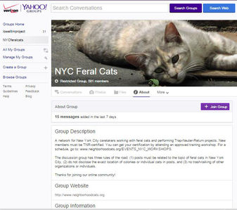 New York City online feral cat group
