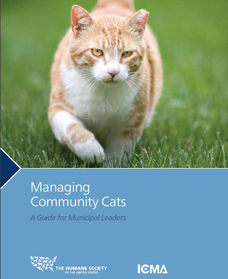 Managing Community Cats: A Guide for Municipal Leaders
