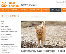 Community Cat Programs Toolkit