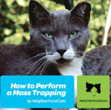 How to Perform a Mass Trapping