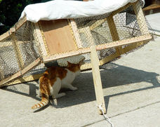 Build your own drop trap