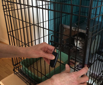 Close and lock the cage door