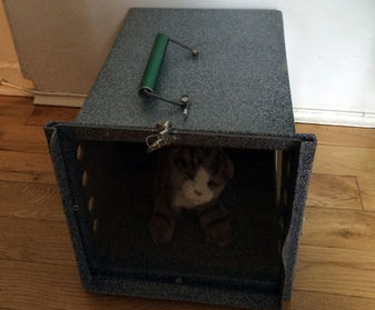 Remove den from cage