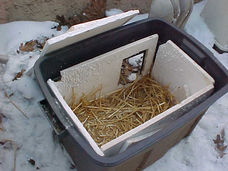 Rubbermaid bin winter shelter