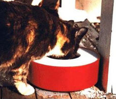 Solar powered water bowl