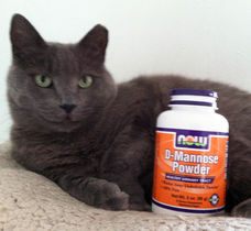 D-mannose prevents urinary tract disease
