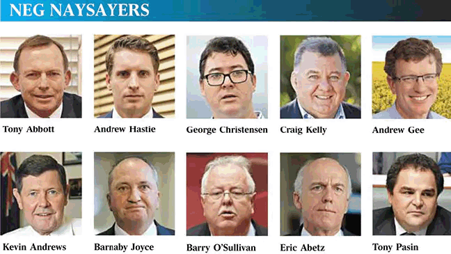 Australian politicians, photo, climate, carbon, skeptics, NEG.