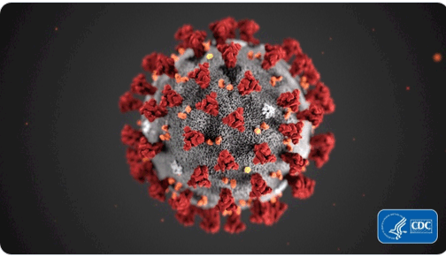 CoronaVirus