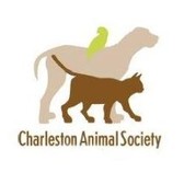 Logo of Charleston Animal Society