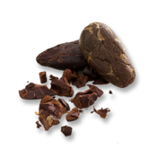 Cocoa Nibs