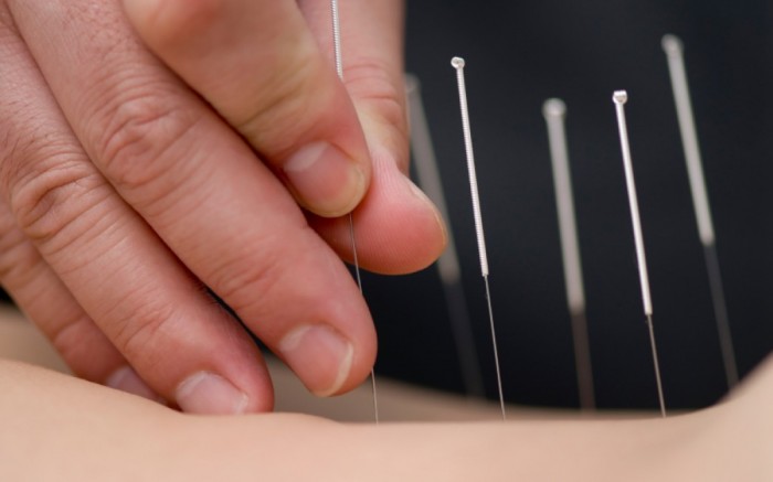 Curso-Taller Fusion Oriental con enfoque Estético / / Joinnus