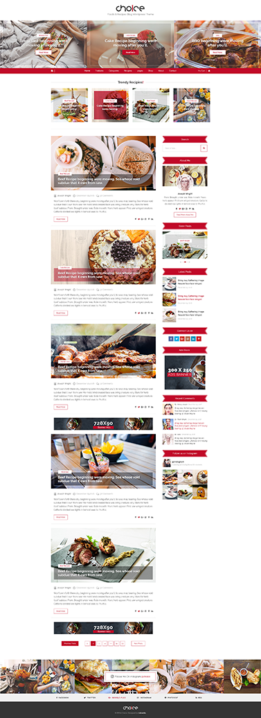 choice fashion wordpress blog