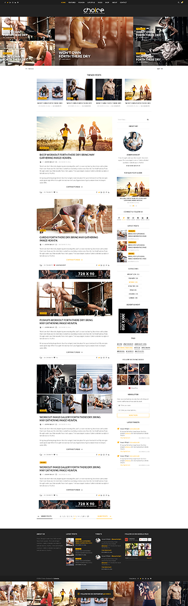 choice fashion wordpress blog