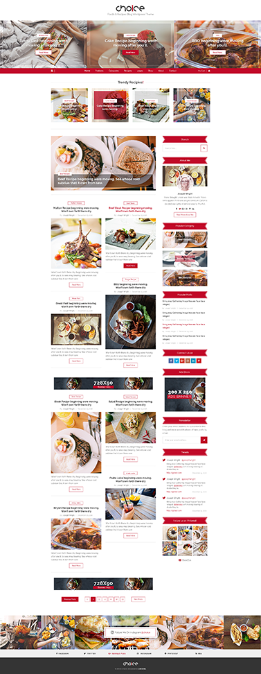 choice fashion wordpress blog