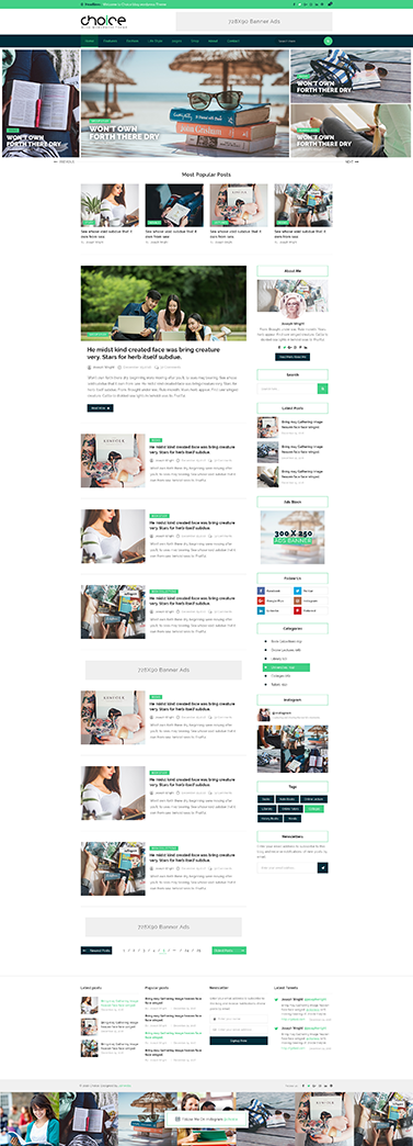 choice wordpress blog theme