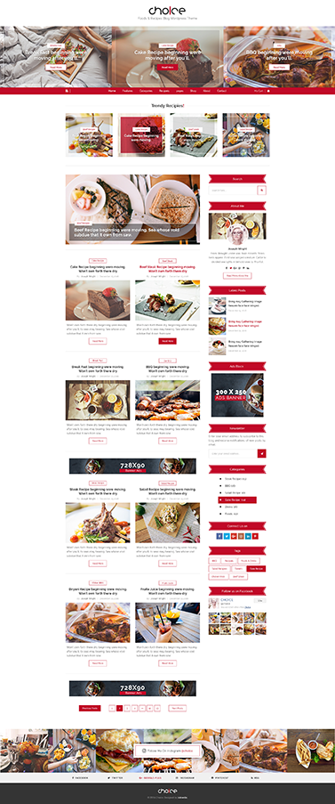 choice fashion wordpress blog