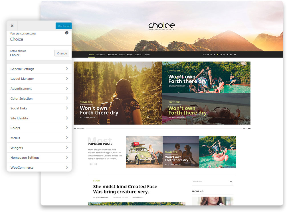 choice wordpress blog theme options