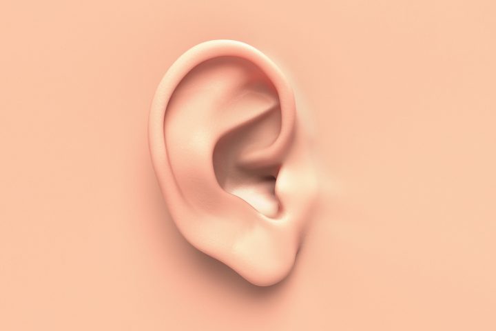 I can't hear a damn thing
