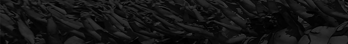 NACDA &amp;amp; Affiliates - Profile picture