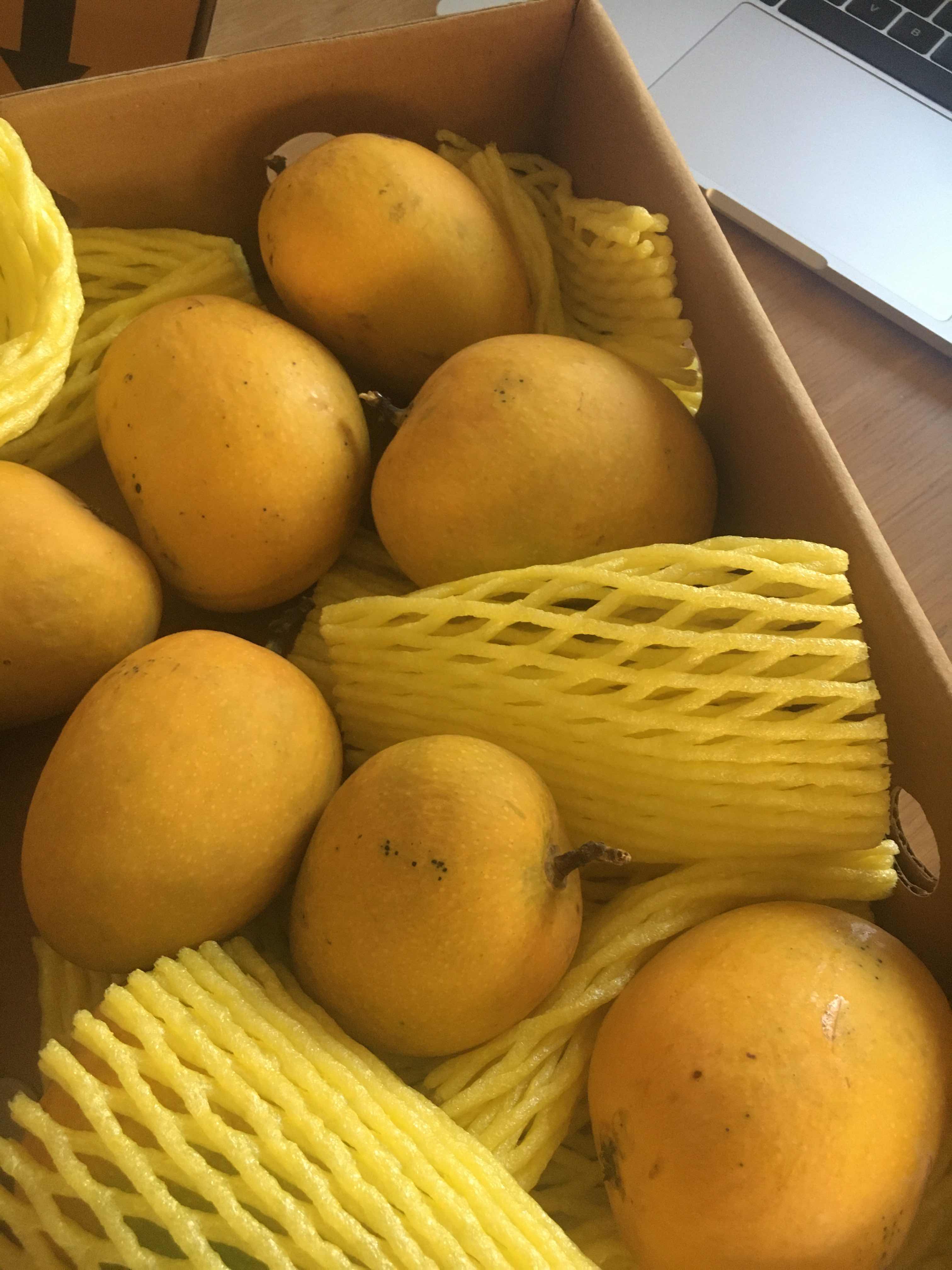 Nikhil Shinde - Profile picture