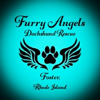 Elaine Caron - Profile picture