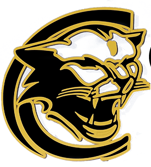 Michael Quinn  - Profile picture