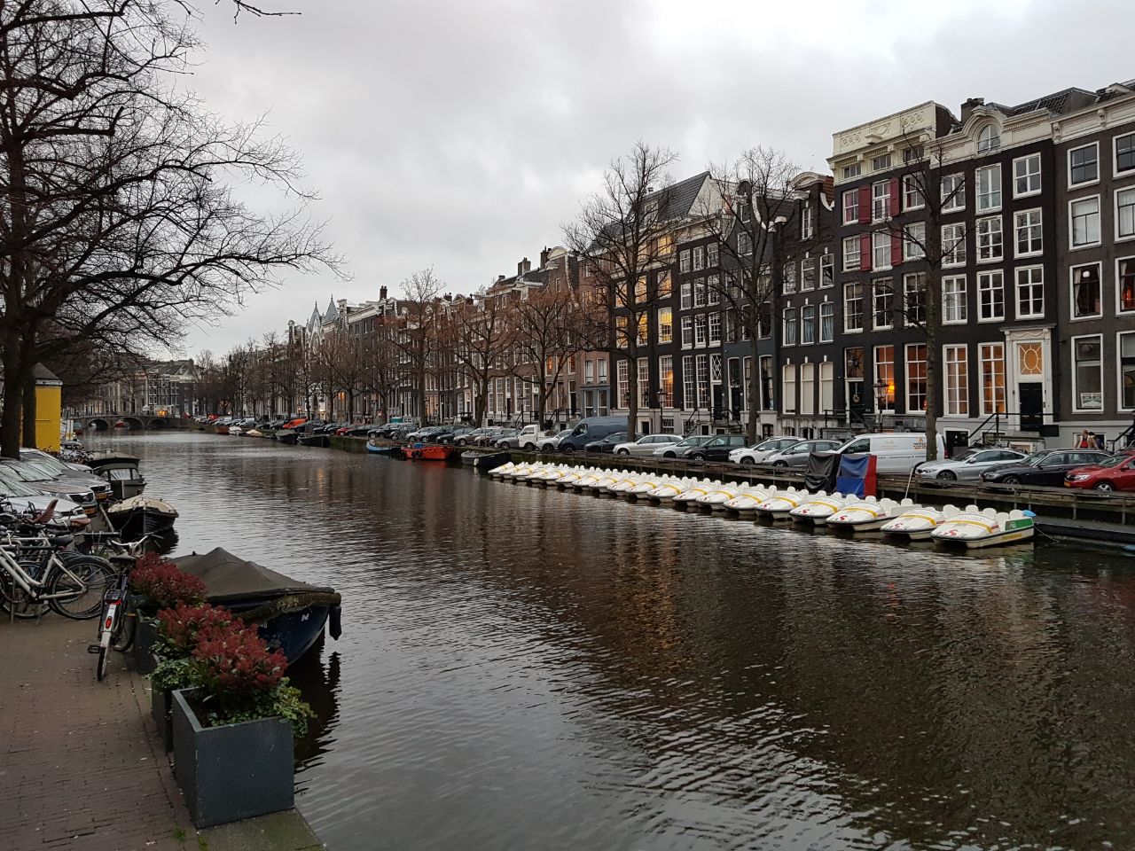 Hassan Saleem Malik - Profile picture