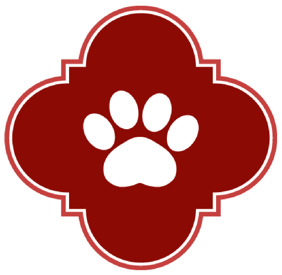 ACSIntake - Profile picture