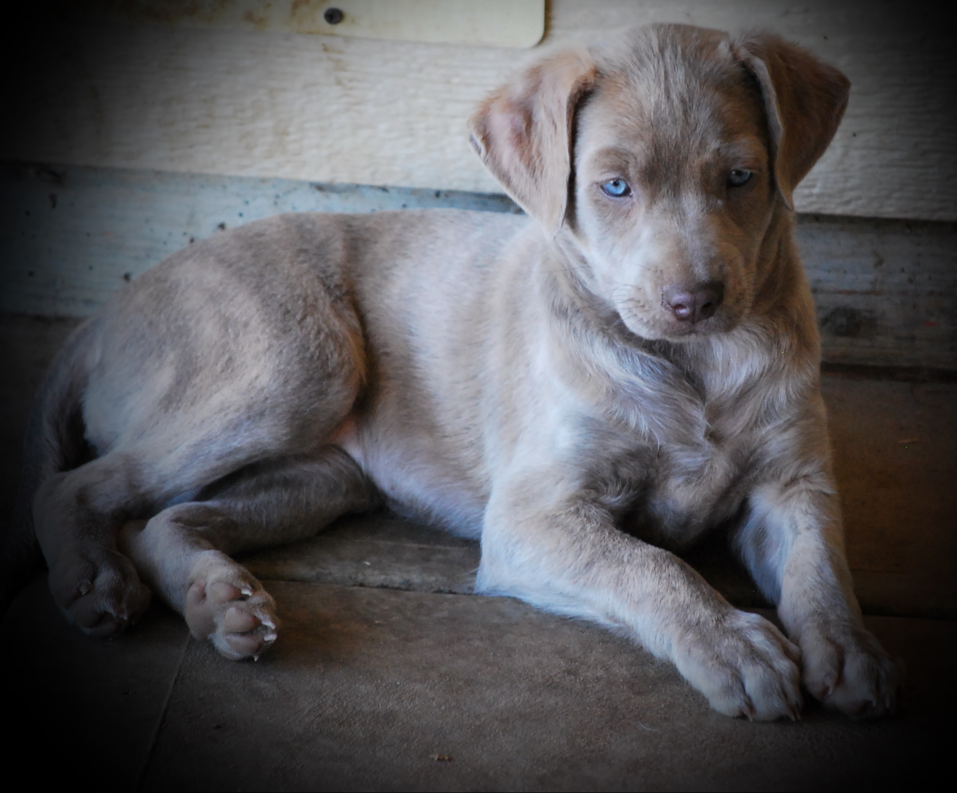 Sally Johnson - Profile picture