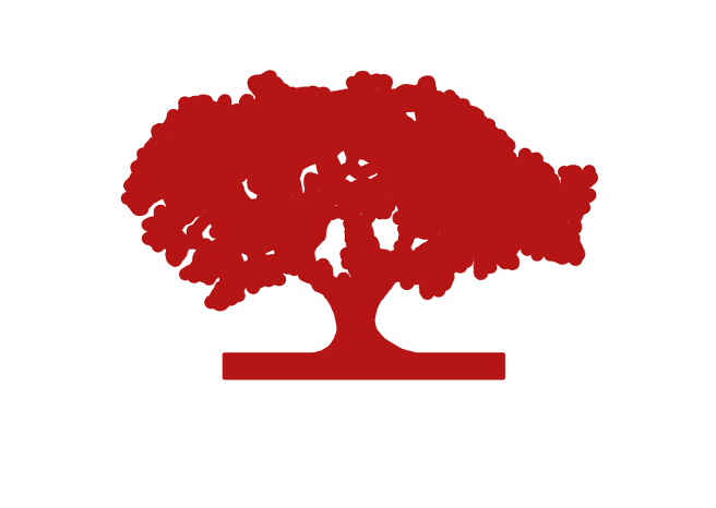 TMHC - Profile picture