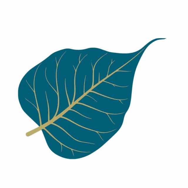 The Vishrant Buddhist Society - Profile picture