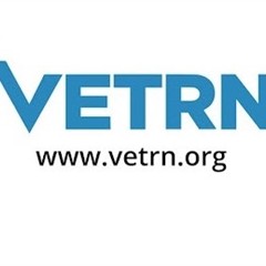 David Ferrara - Profile picture