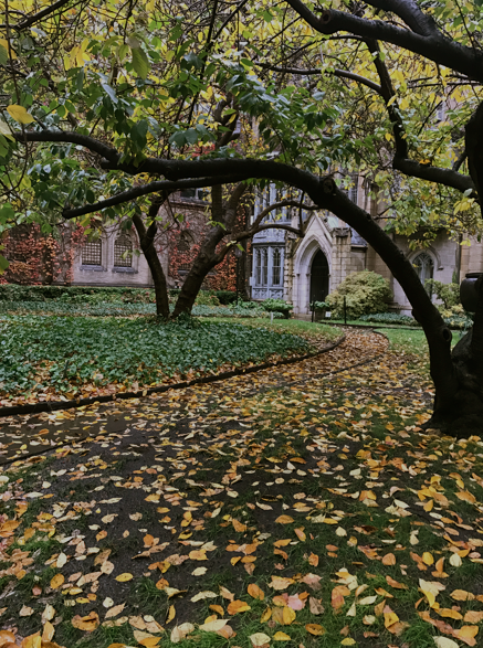 screen-shot-2016-11-16-at-1-05-48-am