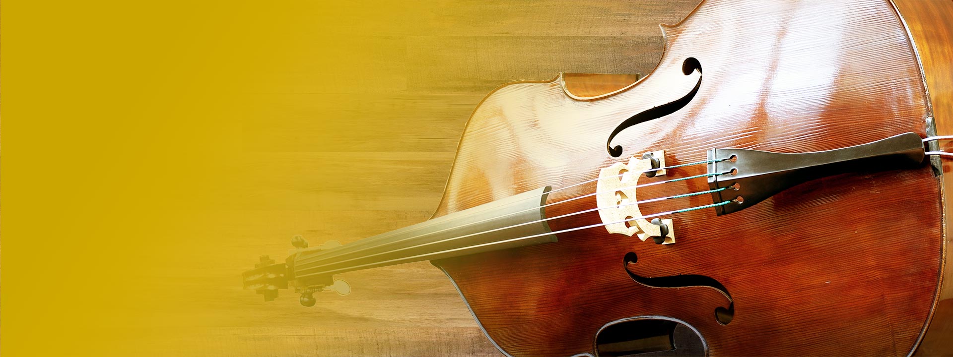 J.R. Judd Violins Providing excellent instruments and service to the beginning string player