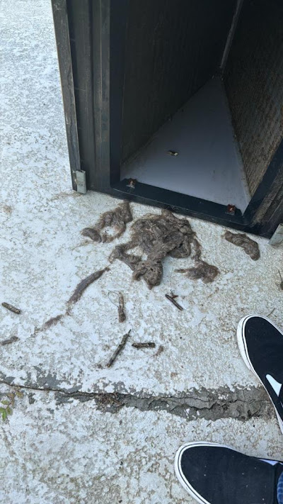 Preventing Future AC Issues with Regular Maintenance