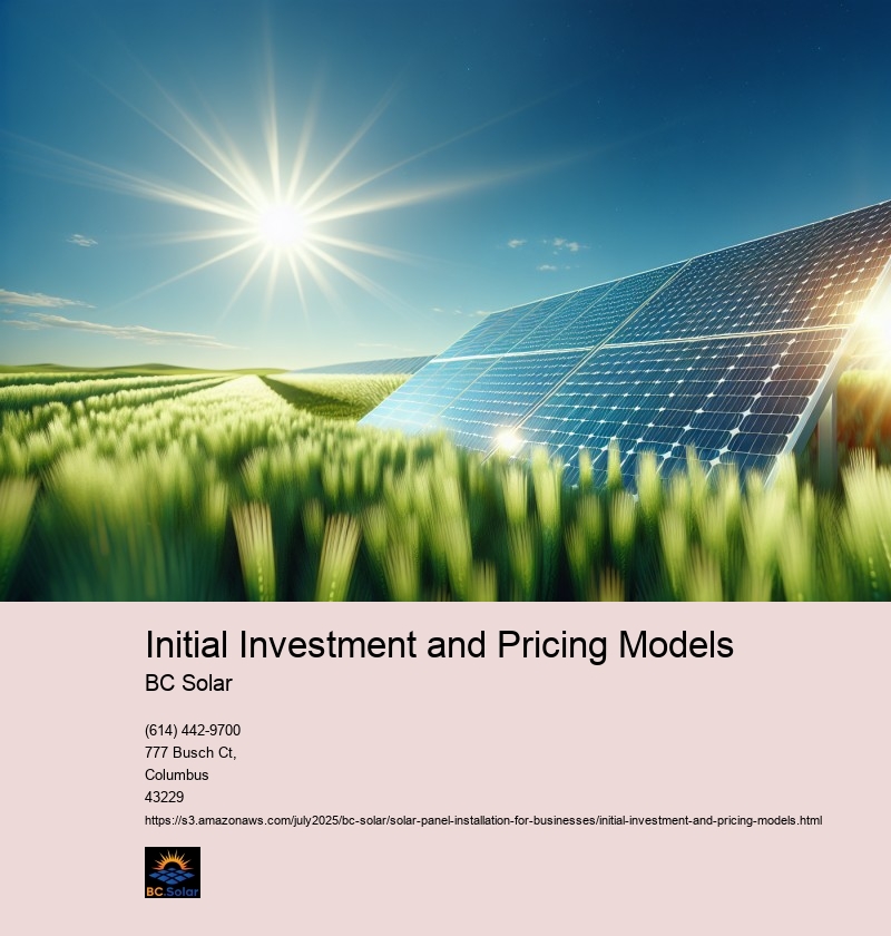 Initial Investment and Pricing Models